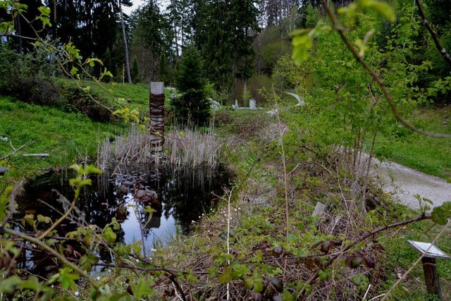 Silberwald Mondweiher