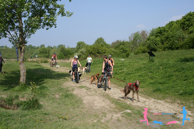 Bikejoering © SpeedRunners.at