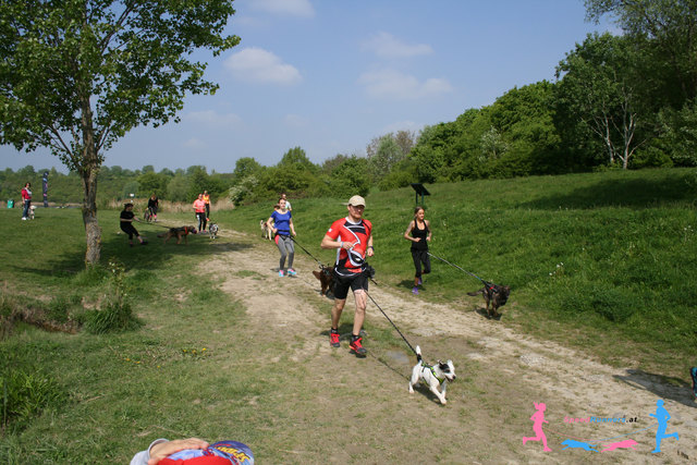 Canicross © SpeedRunners.at