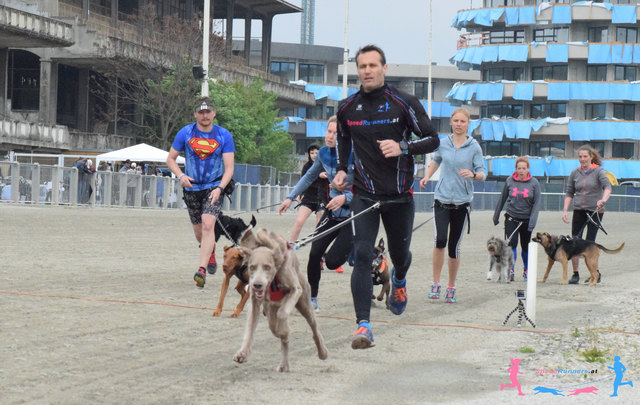 los gehts © SpeedRunners.at