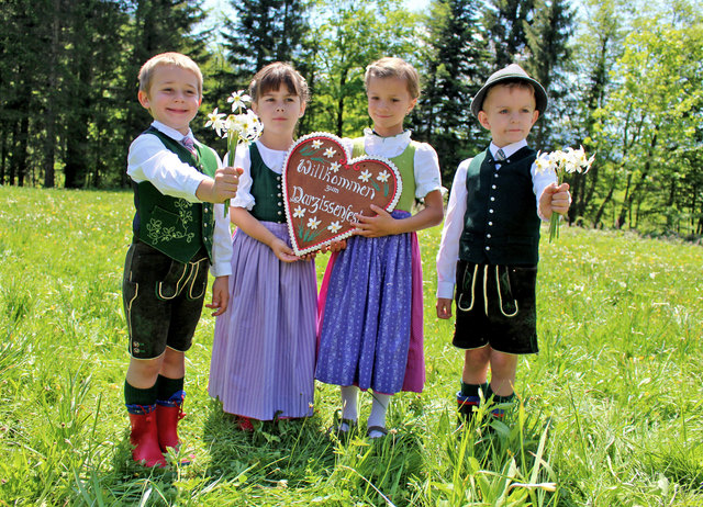 Die wild wachsenden Narzissen schmücken im Frühling die Blumenwiesen der Region Ausseerland-Salzkammergut.