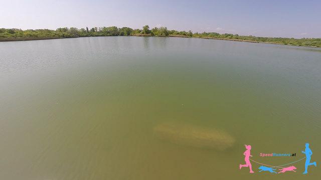 Der Wienerbergteich schön kühl noch © SpeedRunners.at