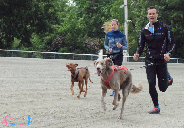 Runde um Runde wird gezogen © SpeedRunners.at