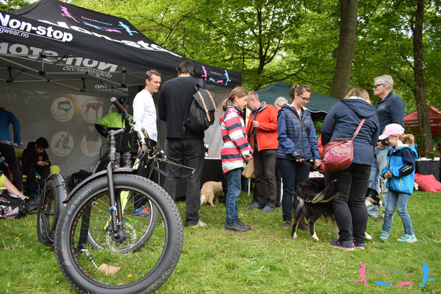 Beratung ist alles © SpeedRunners.at