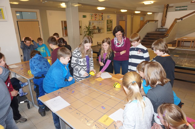 Mit einer programmierbaren "Elektro-Biene" konnten die Goiserer Volksschüler spielerisch an die Thematik "analytisches Denken" herangeführt werden.