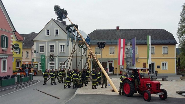 Traditionell per Muskelkraft wurde der Maibaum von den Feuerwehren Ligist und Steinberg aufgestellt.