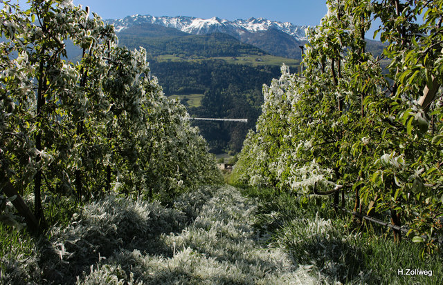 Dienstags- und mittwochnachts ist mit Frost zu rechnen.