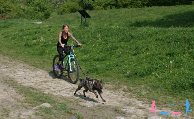 Los gehts! © SpeedRunners.at