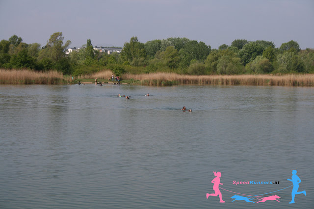 12 Grad Wassertemperatur © SpeedRunners.at