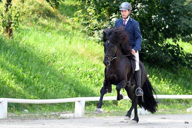 Oliver Kubinger mit Dimmi, Mitglied der Andorfer Pferdefreunde - er hat für heuer die WM im Visier | Foto: Pferdefreunde Andorf