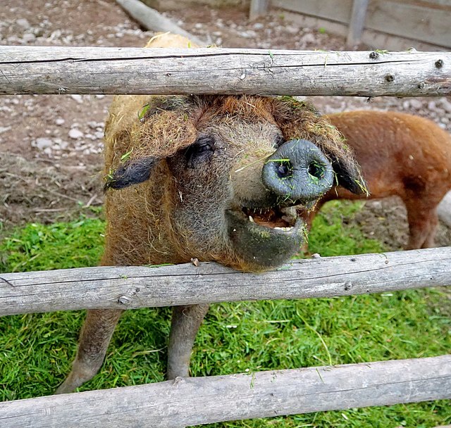 ... am Grubhof in Kundl