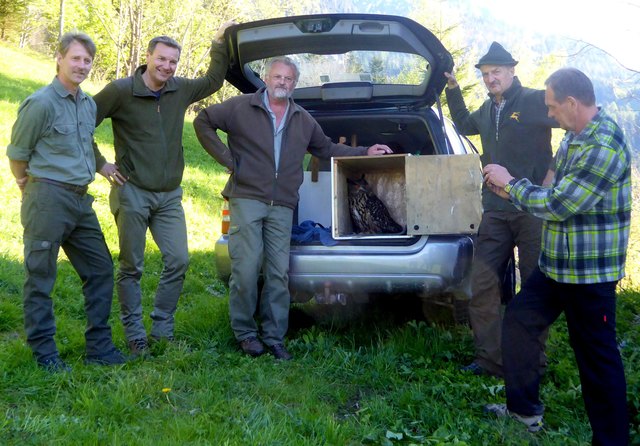 Aufsichtsjäger Markus Frühauf, Jagdpächter Andreas Gasteiger, Mathias Premm (Greifvogelpark Telfs), Aufsichtsjäger Josef Arzberger und Dirk Ullrich (Alpenzoo Innsbruck) bei der Auswilderung von Uhu "Stefanie" im Radfelder Jagdgebiet Grafenried.
