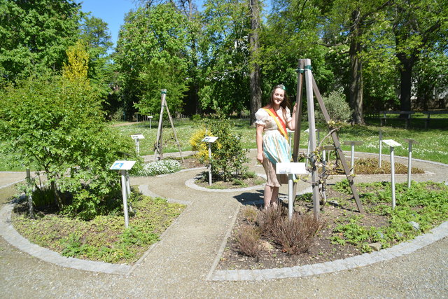 Der Bach-Blütenkraftpark feiert heuer den 10. Geburtstag.
