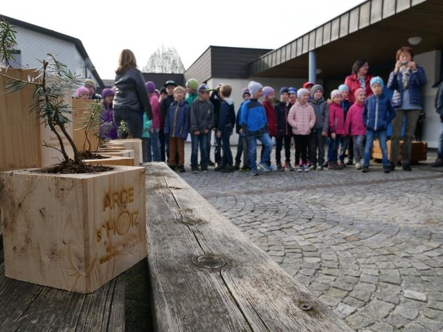 In der Volksschule und Neuen Mittelschule in St. Aegidi wächst jetzt ein "Indoor Wald".