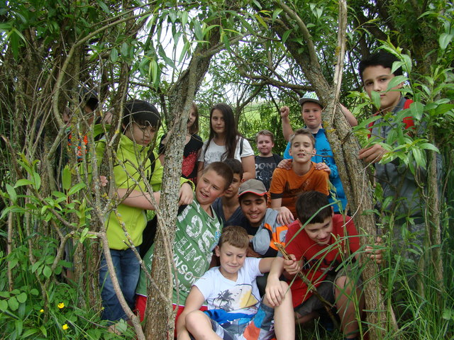 Naturerlebnistage gehörten an der Neuen Mittelschule in Schärding zu den bisherigen Ökolog-Projekten.