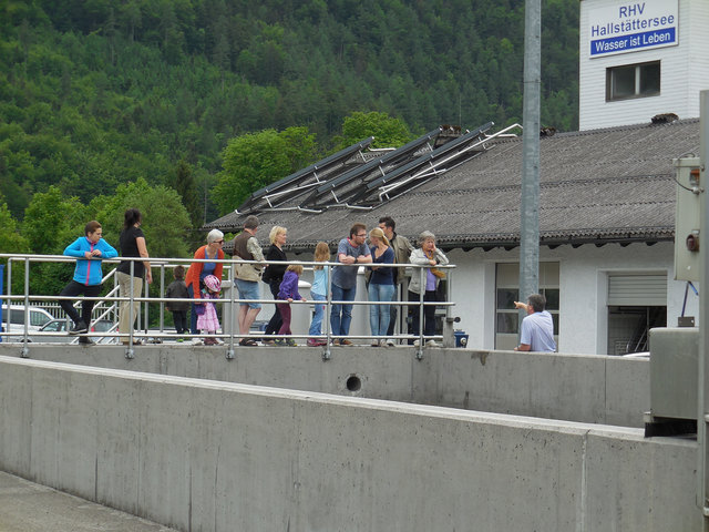 Der RHV Hallstättersee veranstaltet am 10. Juni den Welterbe Umwelttag.