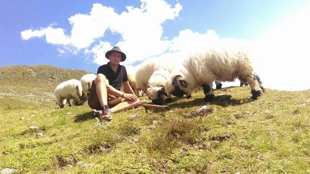 Domenik Diemling führt seine Herde zur Sommerweide