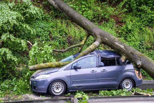 In Petzenkirchen krachte ein Baum auf das Autodach einer Zarnsdorferin und verursachte einen Totalschaden am Fahrzeug.
