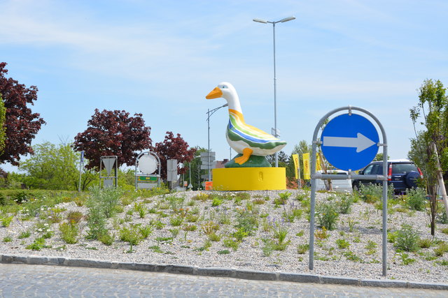 Der Kreisverkehr bei Gänserndorf im Blick. 30 bis 28 Prozent der Autfahrer vergessen aufs Blinken.