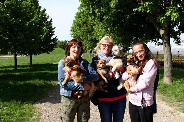 Gabi, Miriam und Brigitte (v.l.) machen mobil: Sie warnen alle Hundebesitzer vor Giftködern am Leberberg.