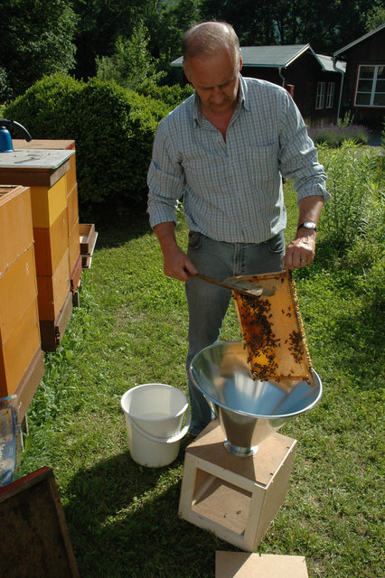 Bienen brauchen Profis", so das Motto von Maximilian Marek, Direktor der steirischen Imkerschule. "Imkersein will gelernt sein." | Foto: KK