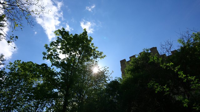 Sonnenschein bei Schloss Bruck