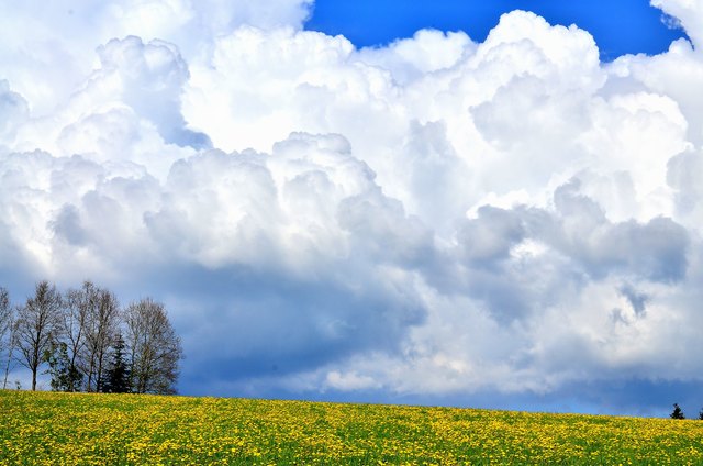 Dramatische Wolkenstimmungen, mit Löwenzahn übersäte Wiesen, Regenschauer und Sonnenschein in schnellem Wechsel prägen das Bild im April und Mai.