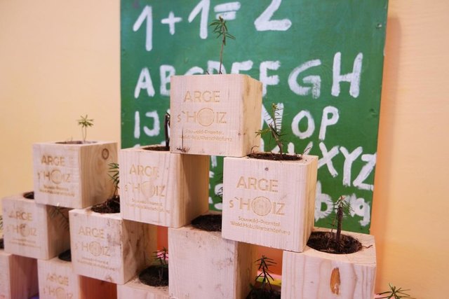 Beim Projekt "Indoor.Wald" wachsen kleine Baumsetzling direkt in den Klassenzimmern.