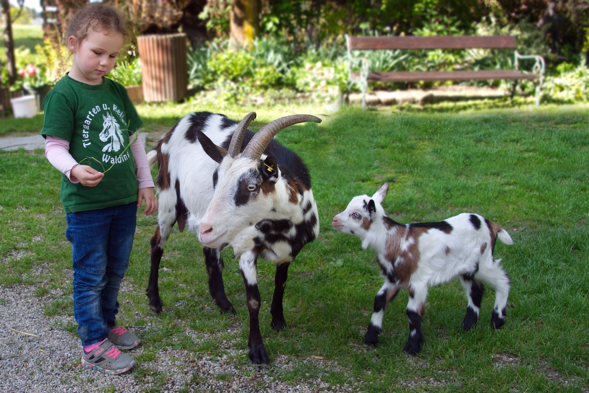 Himmel und Sonnenschein trafen sich vor wenigen Tagen die Tierpaten des Tiergartens Walding zum traditionellen Frhlings-Paten-Treffen. Paten-Treffen im Tiergarten Walding - Urfahr-Umgebung