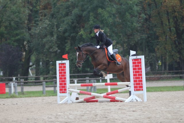 Karin Weinbacher mit Amigo