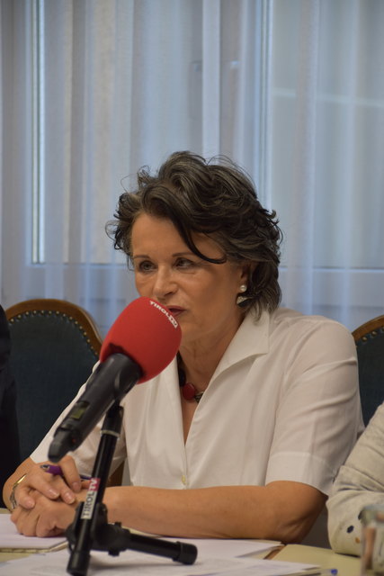"Ich gehe davon aus, dass man hier den Eklat provoziert hat", sagt Wechner bezüglich des Verweises der Grünen Ersatzgemeinderätin.