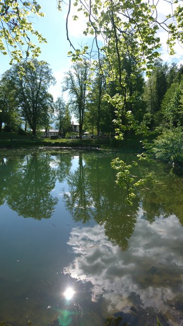 Schlossteich bei Schloss Bruck in Lienz
