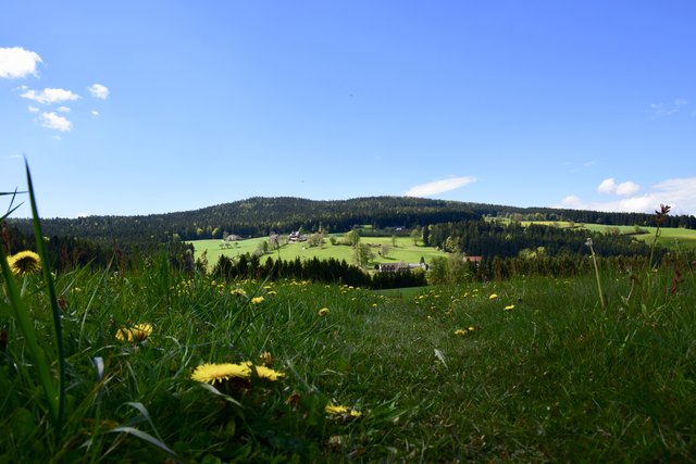 Miesenbach bei Birkfeld Weiz