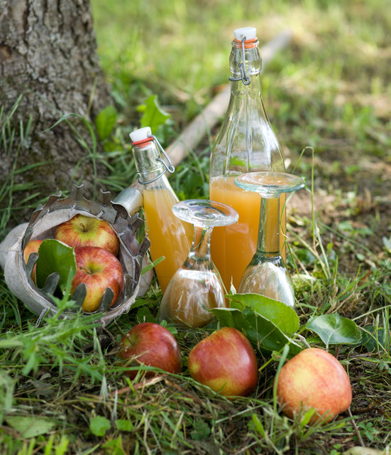 Symbolfoto | Foto: Christian Jung/Fotolia