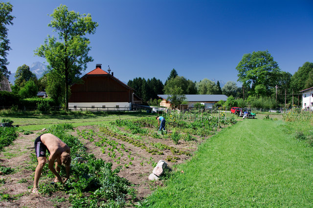 Gemeinsam Garteln - gemeinsam Ernten