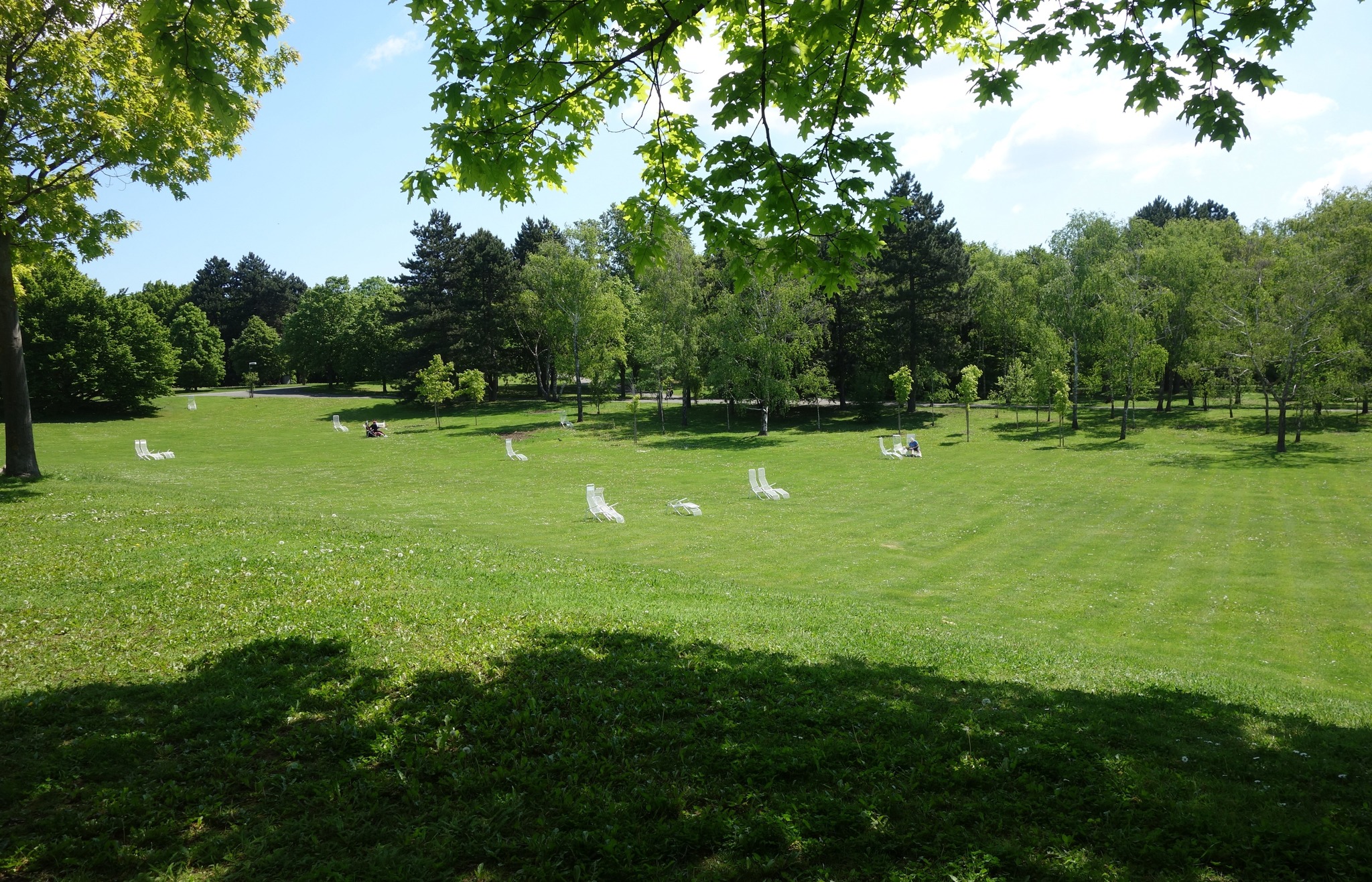 Kurpark Oberlaa - Liegewiesen - Favoriten