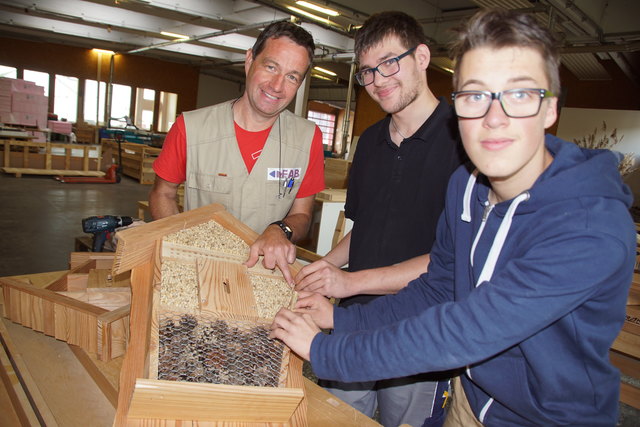 Werkstättenleiter Thomas Hofer, Mathias Brandl, Gabriel Randacker von der neugegründeten önj FAB Haslach sind Experten beim Anfertigen von Insektennisthilfen. Sie zeigen am Sonntag ihre Exponate.