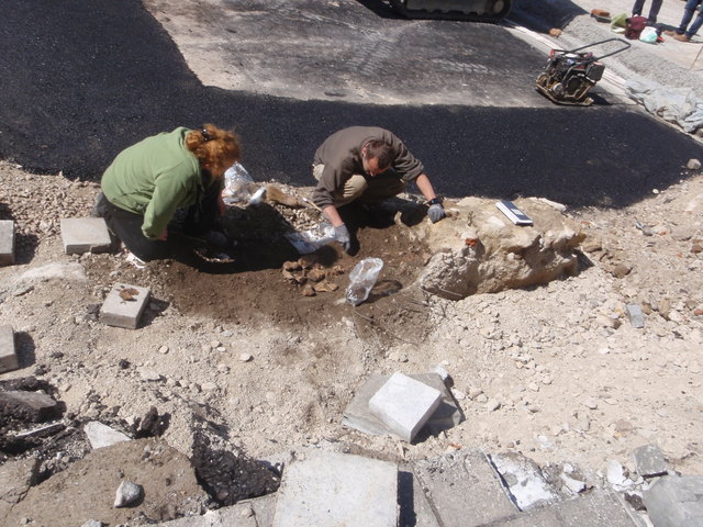 Stadtarchäologen bei der Dokumentierung des Skelettfunds | Foto: Karin Fischer Ausserer