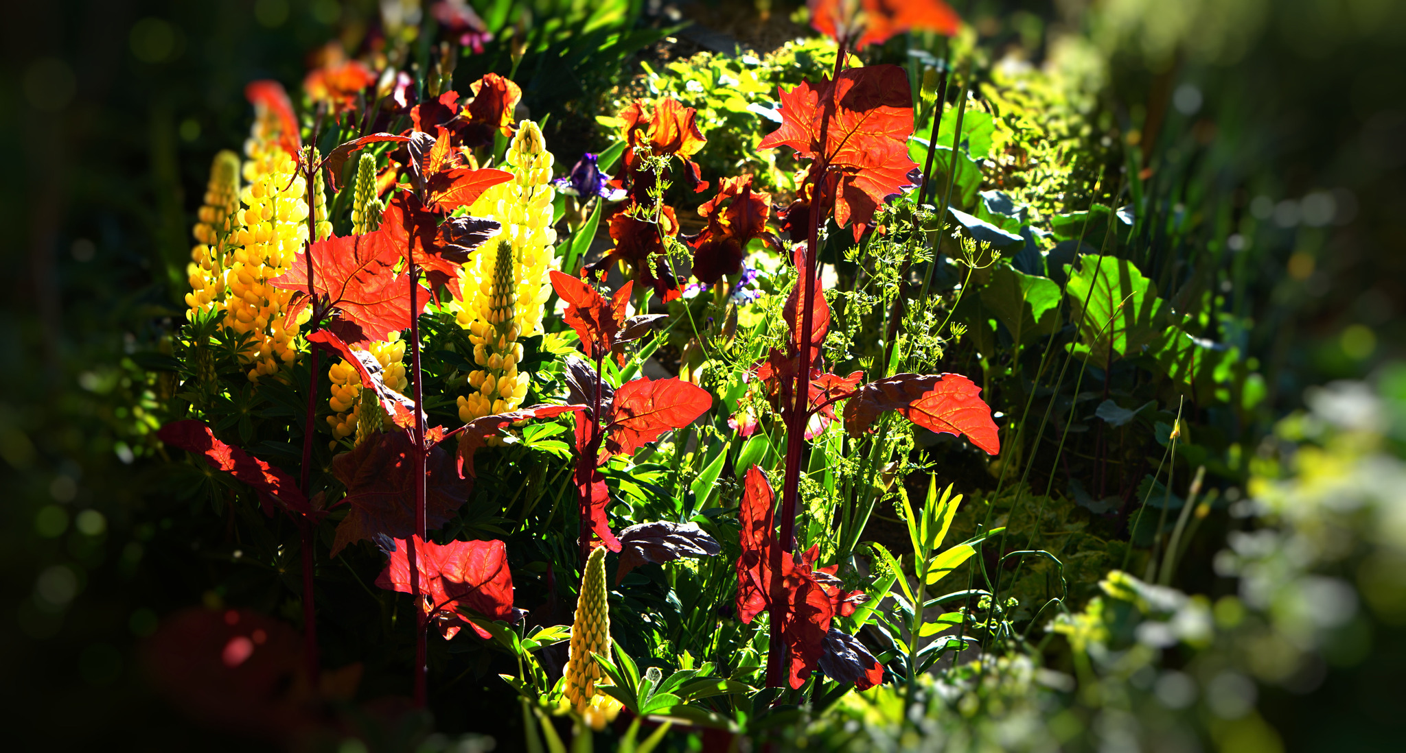 Garten der Freude ! Weiz