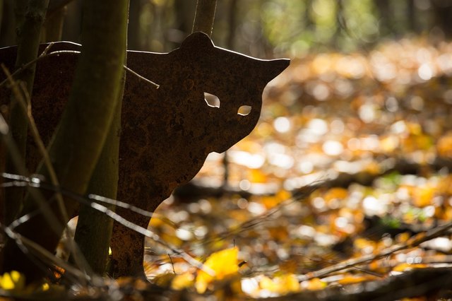 (c) NP Thayatal M. Graf