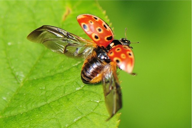 prachtvolle Natur - Abflug - Pinzgau