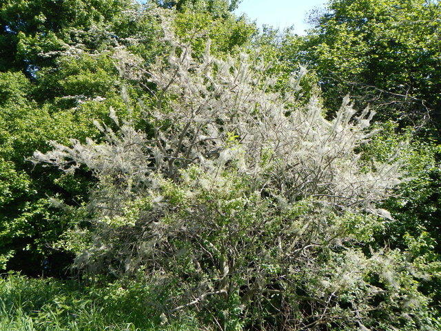 Foto: Betriebsges. Marchfeldkanal