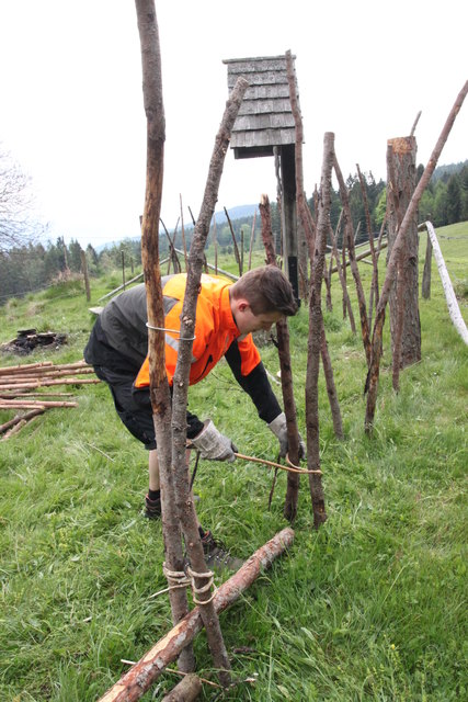 Die gewundenen Äste wurden zur Fixierung der Schrägplanken um die Steher gebunden