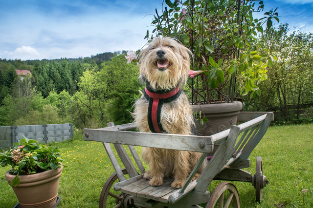....unsere Puppi...;))) - sie is wirklich was besonderes...