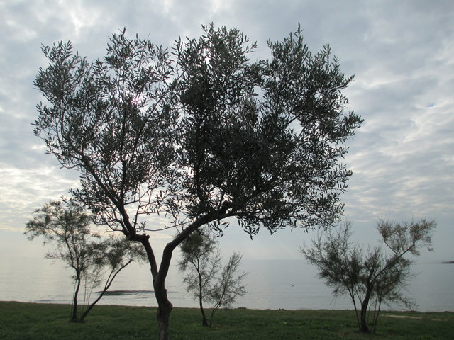 Ein Blick in die Natur....