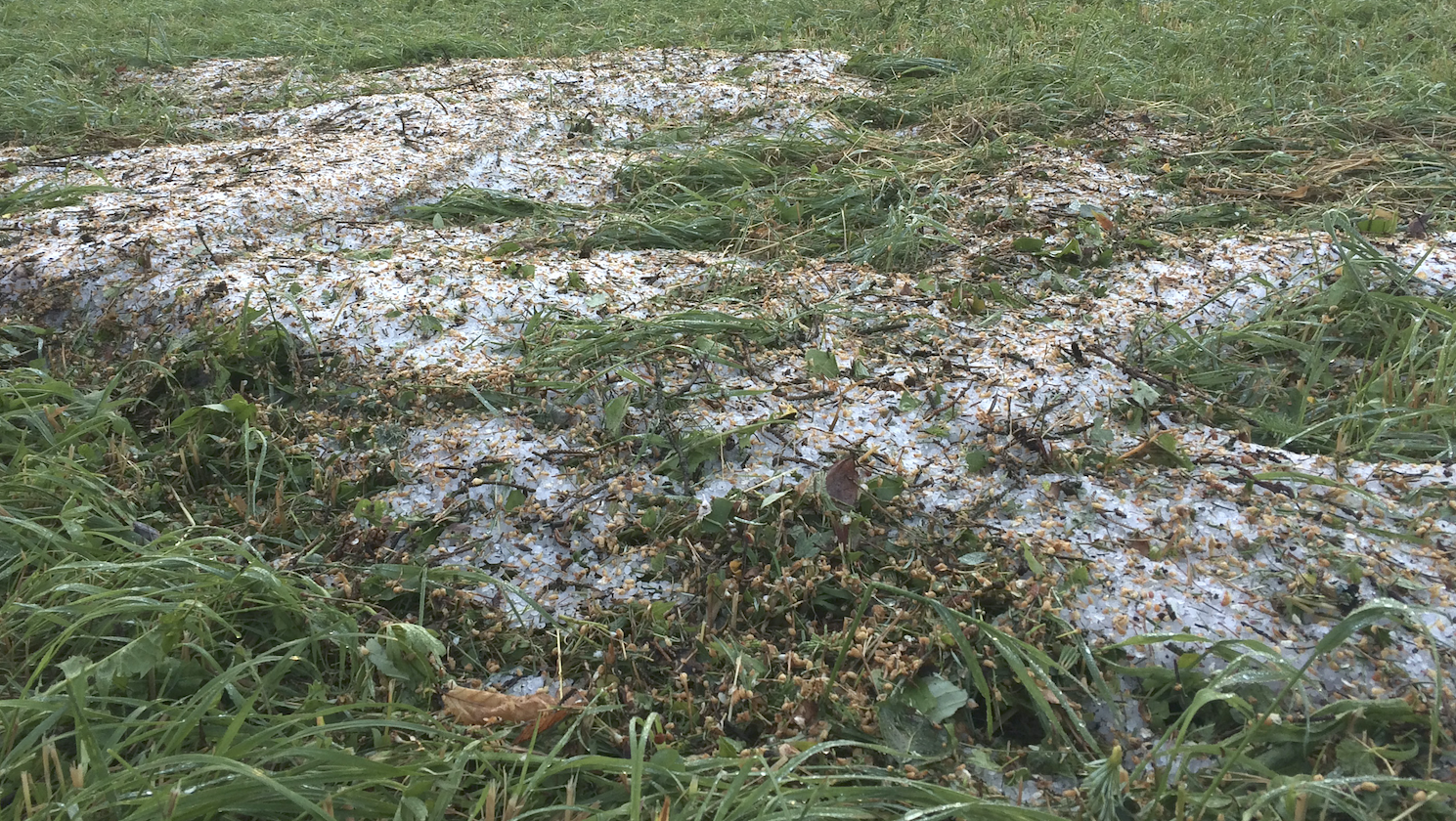 So sehen die landwirtschaftlichen Nutzflächen aus. Der Schaden ist beträchtlich