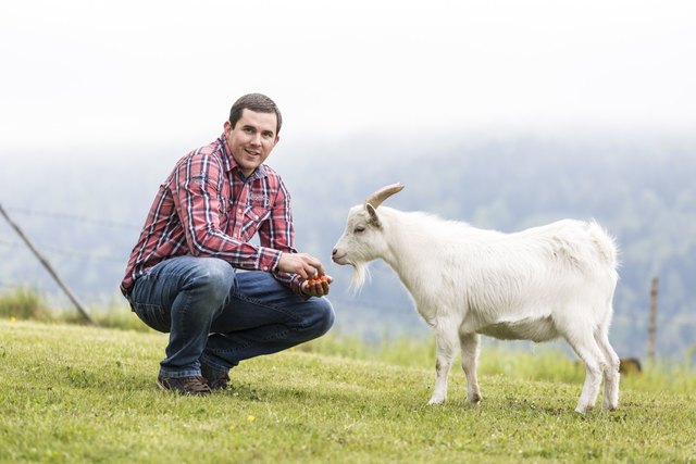 Ziegenwirt Stefan aus Keutschach ist Nebenerwerbs-Landwirt | Foto: ATV/Kainerstorfer
