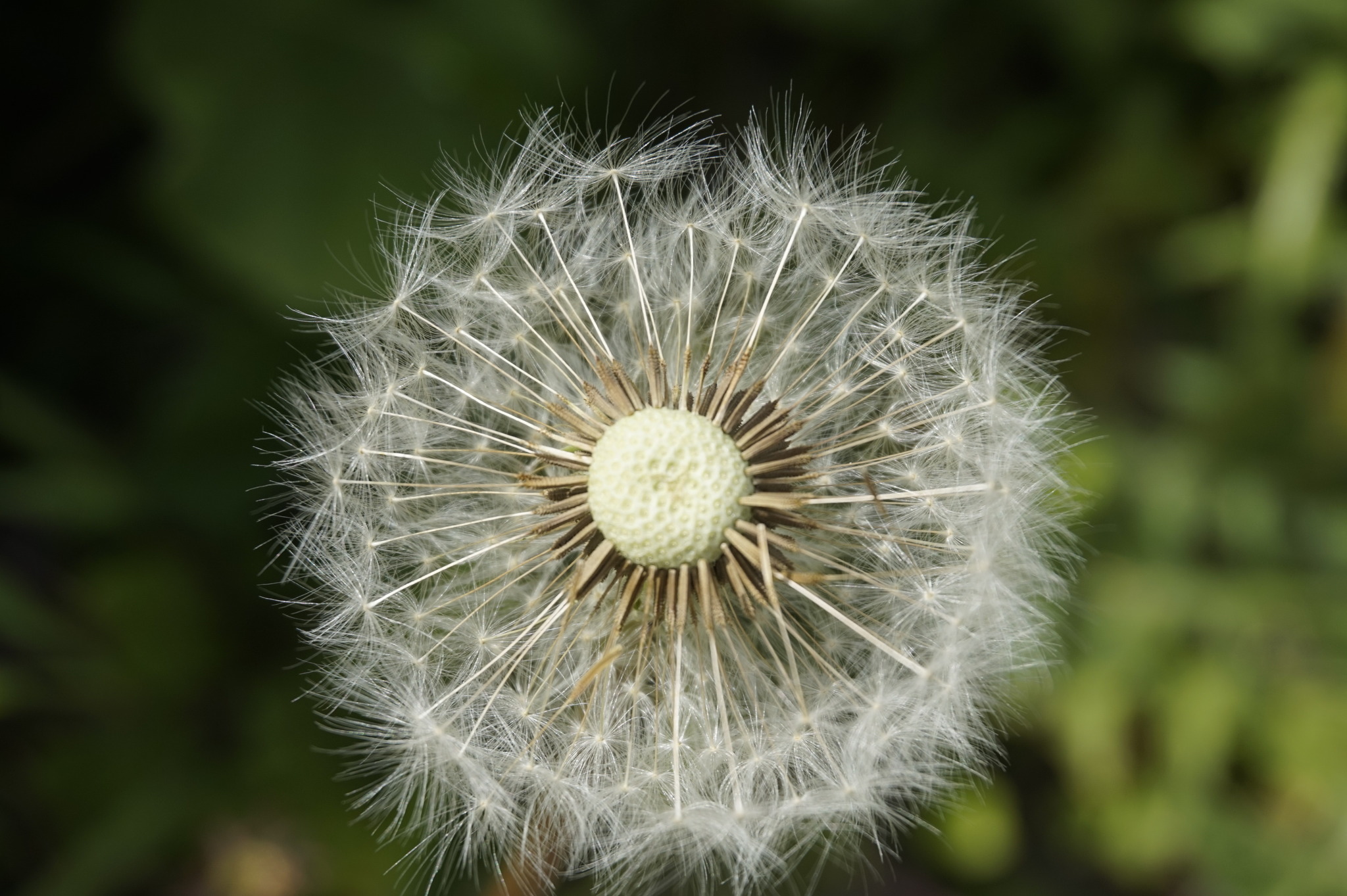 Natur Pur Reutte