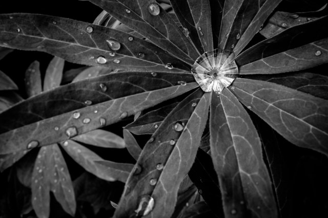 Nach dem Regen