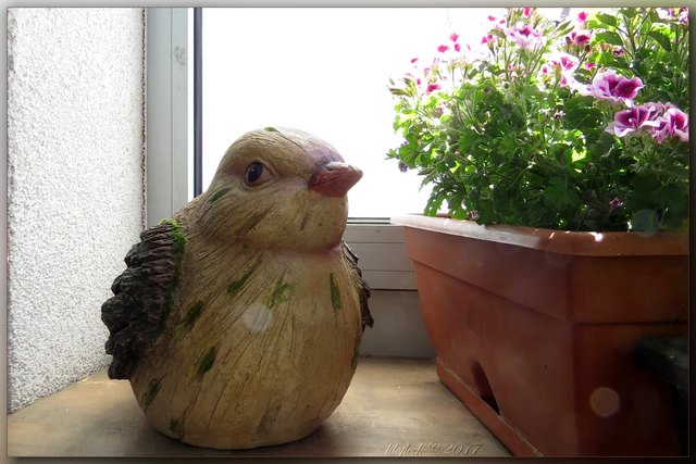 Und weil dieser Spatz ohnehin nicht in die Hand passt (er ist gut 25 cm groß), bekommt er morgen im Garten einen Ehrenplatz